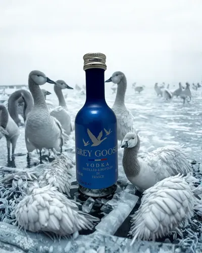 Grey Goose Miniatura 50 ml