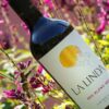 la-linda-red-blend-1 La Linda Red Blend
