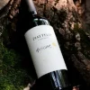 piattelli-arlene-22222 Piattelli Arlene