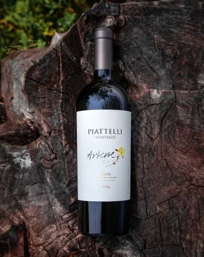 piattelli-arlene-3 Piattelli Arlene