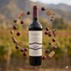 piattelli-mendoza-single-vineyard-cabernet-sauvignon-2 Piattelli Mendoza Single Vineyard Cabernet Sauvignon