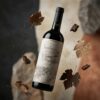 saint-felicien-cabernet-sauvignon-4 Saint Felicien Cabernet Sauvignon