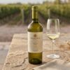 saleintein-reserva-sauvignon-blanc-3 Saleintein Reserva Sauvignon Blanc